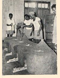 history-sandu-1