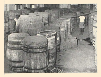 history-sandu-12