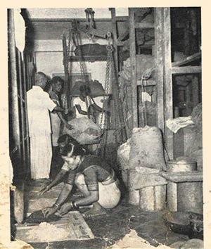 history-sandu-19
