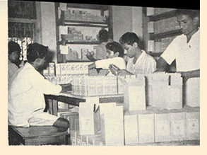 history-sandu-2
