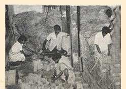 history-sandu-4