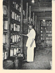 history-sandu-5