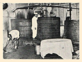 history-sandu-7